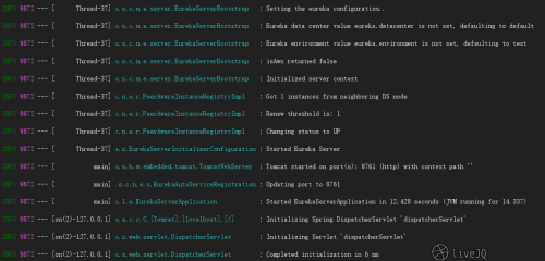 20190617_eureka_server_start.png
